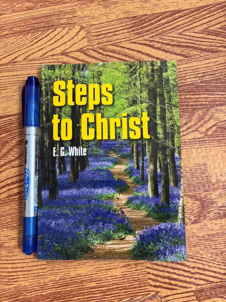 STEPS TO CHRIST (E. G. WHITE) — ảnh 1