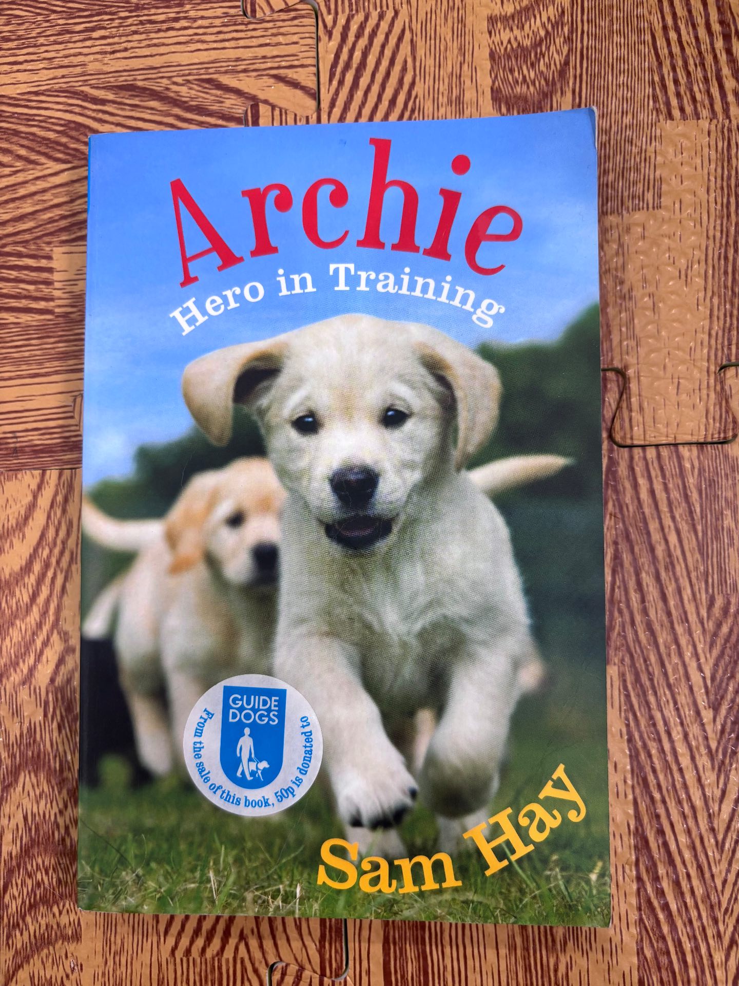 Archie Hero in Training