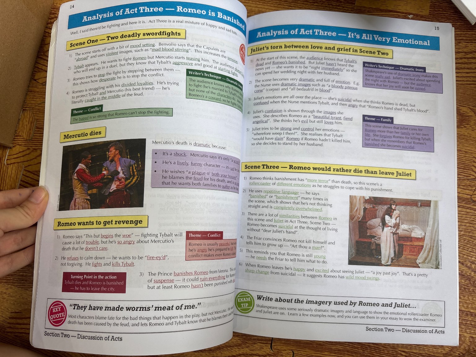 Romeo & Juliet: The Text Guide — ảnh 3