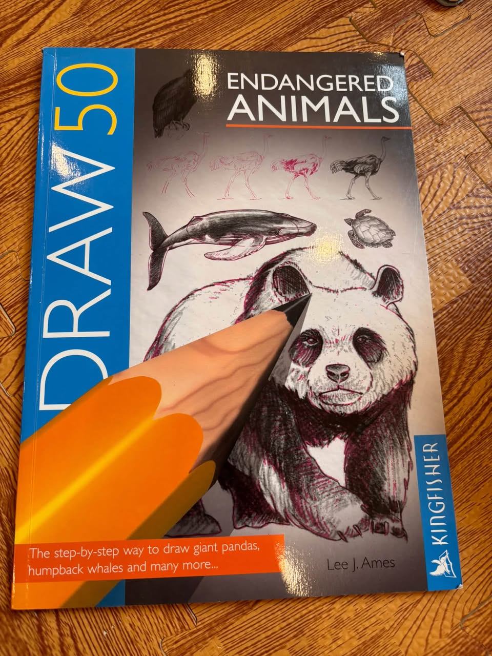 BỘ SÁCH DẠY VẼ: DRAW 50 SERIES (LEE J. AMES - KINGFISHER)
