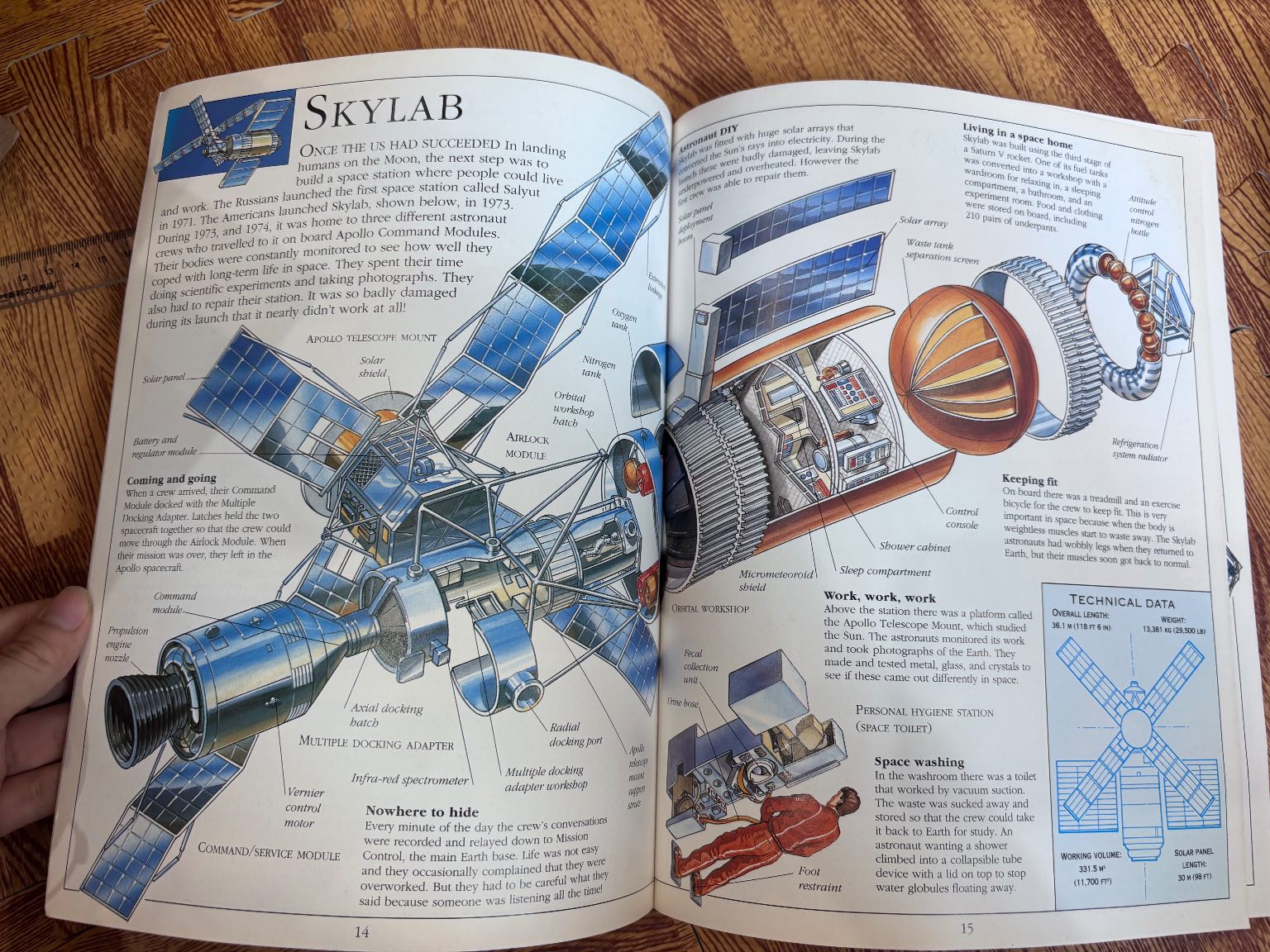 LOOK INSIDE CROSS-SECTIONS SPACE — ảnh 2