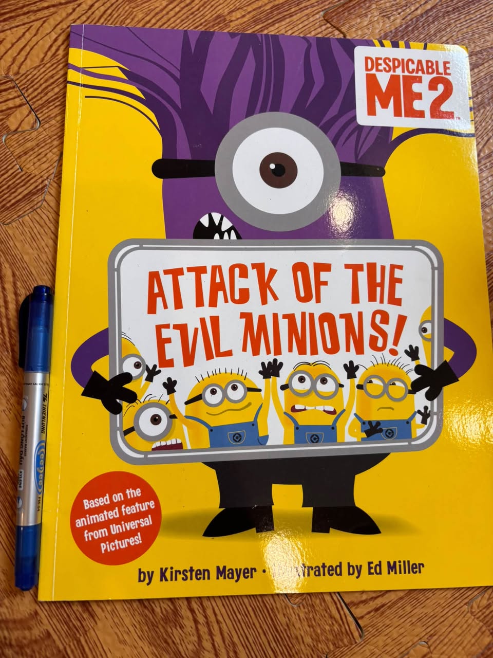 DESPICABLE ME 2: ATTACK OF THE EVIL MINIONS! (KIRSTEN MAYER & ED MILLER)