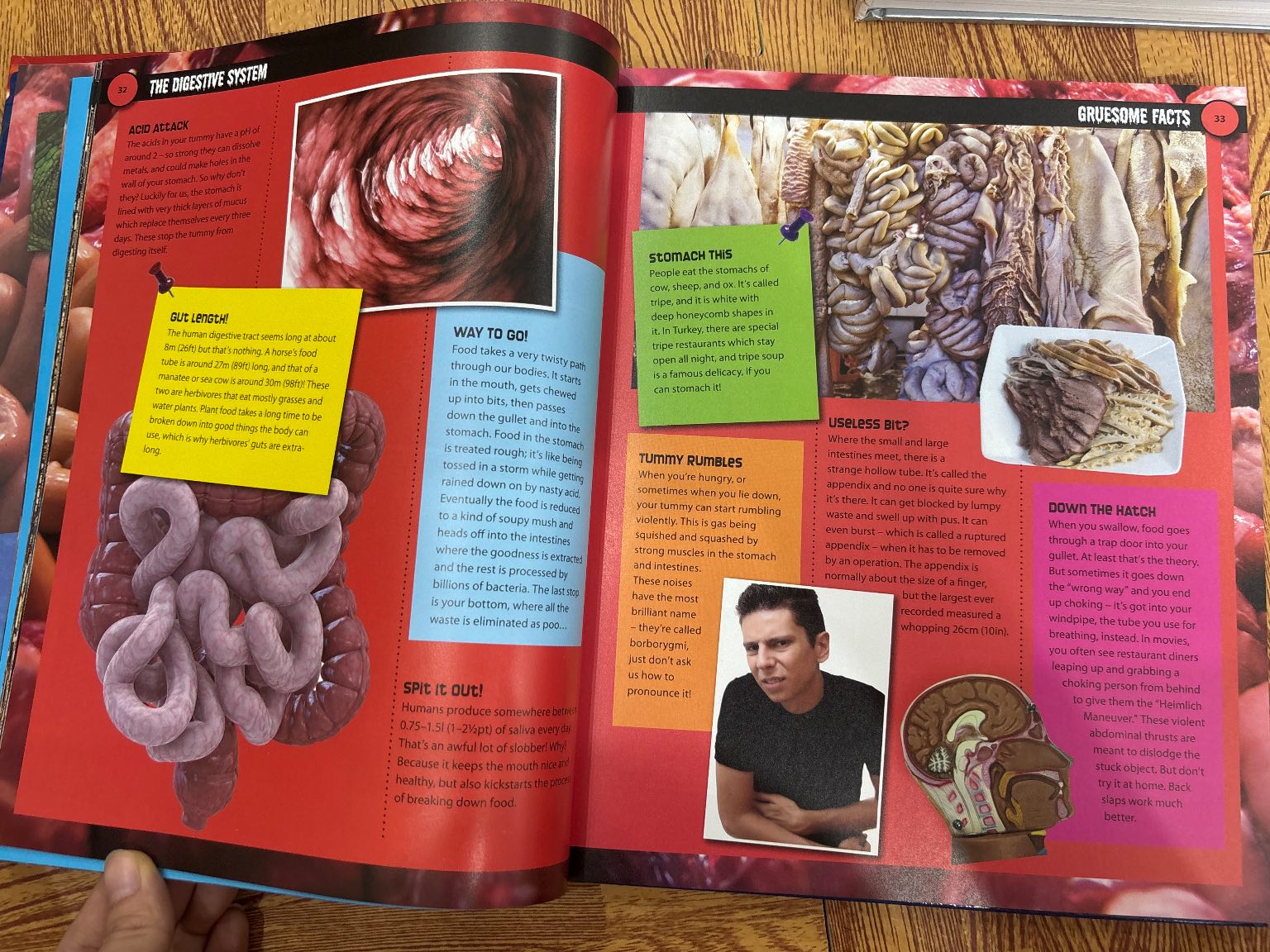 Gruesome Facts — ảnh 2