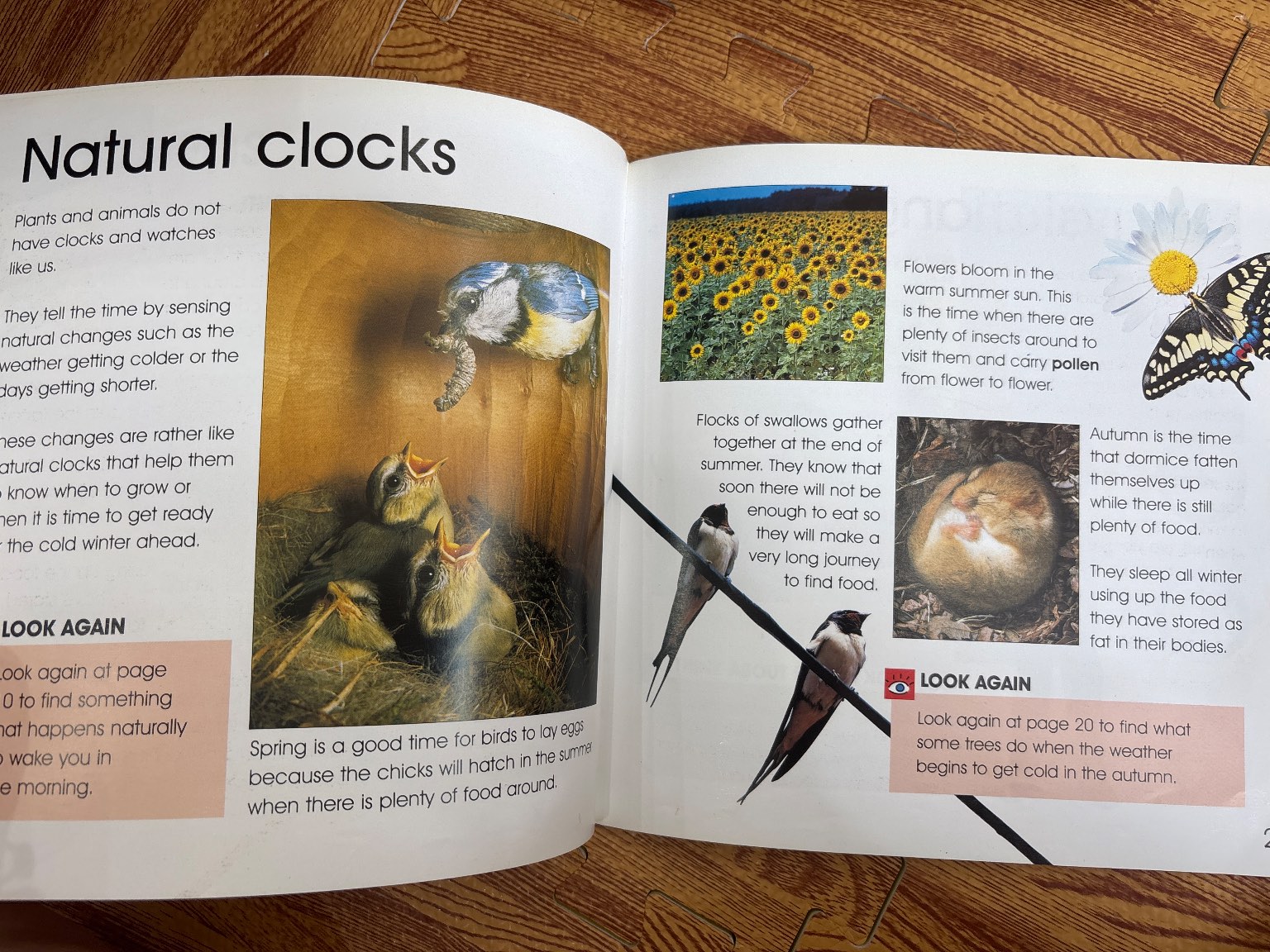 IT'S SCIENCE! Time — ảnh 5