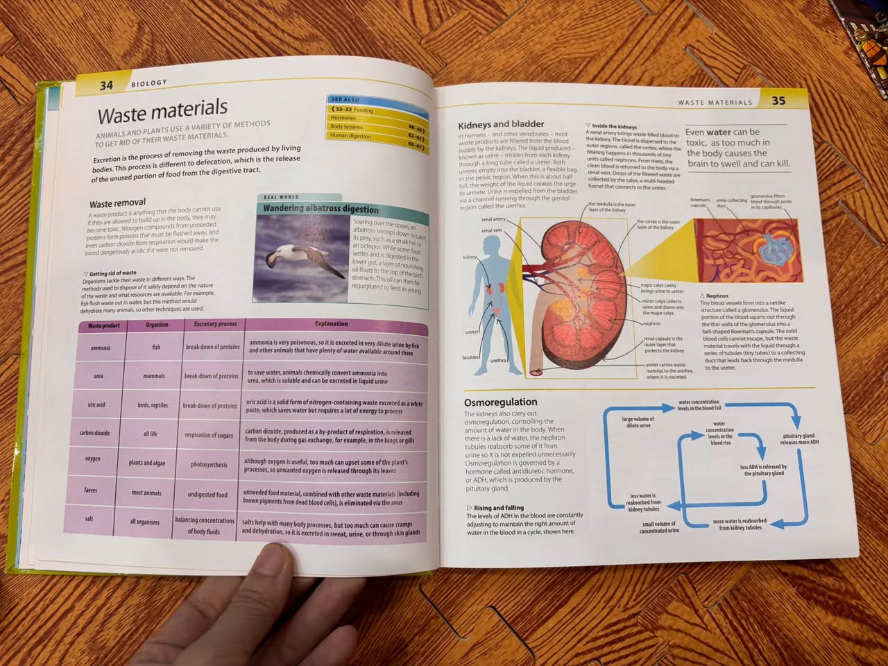 HELP YOUR KIDS WITH SCIENCE: A UNIQUE STEP-BY-STEP VISUAL GUIDE — ảnh 4