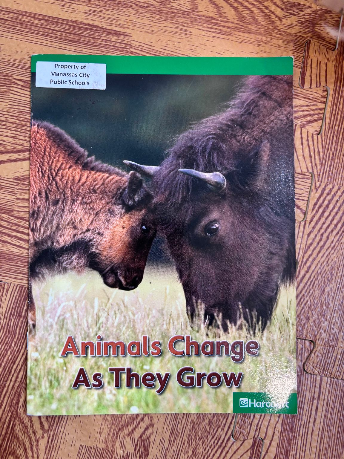 Animals Change As They Grow