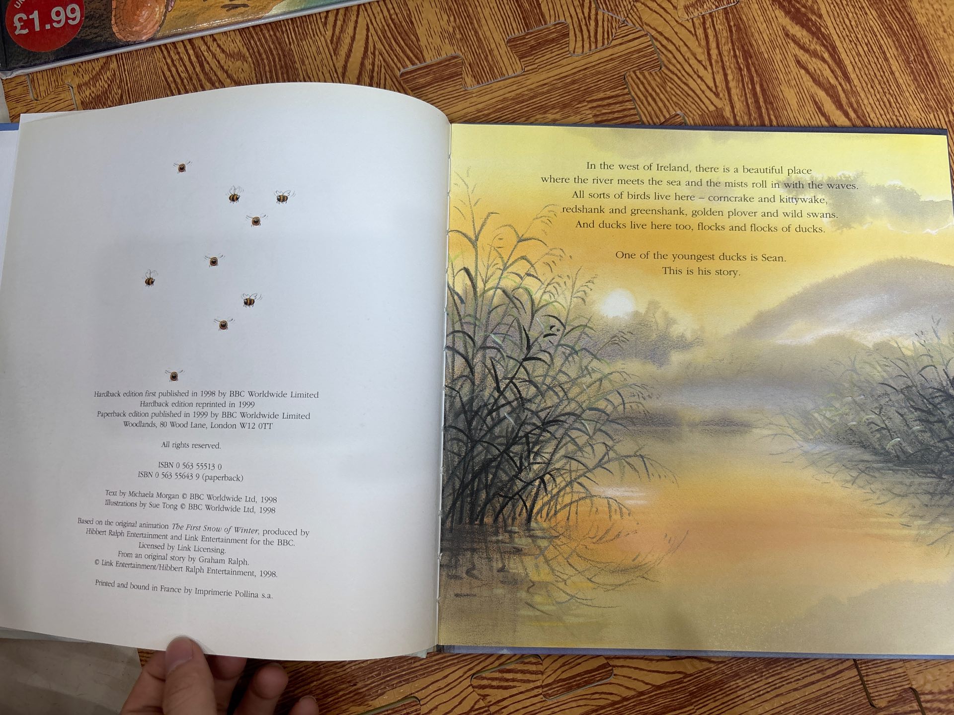 The First Snow of Winter — ảnh 2