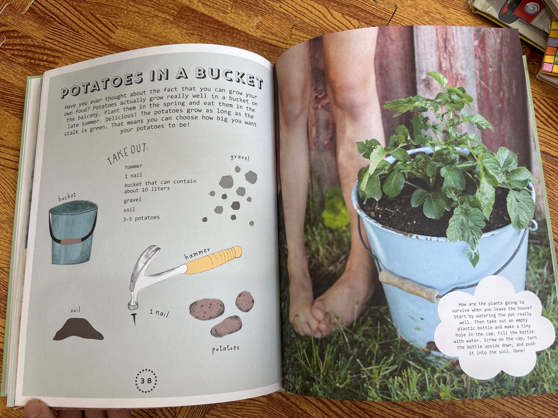 Let's Garden: A Step by Step Introduction — ảnh 7