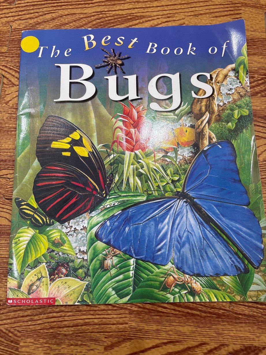 The best book of bugs — ảnh 1
