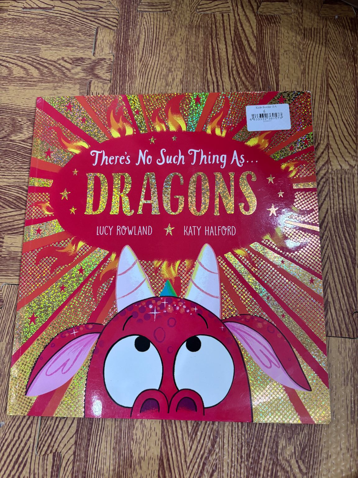 There's No Such Thing As... Dragons — ảnh 1
