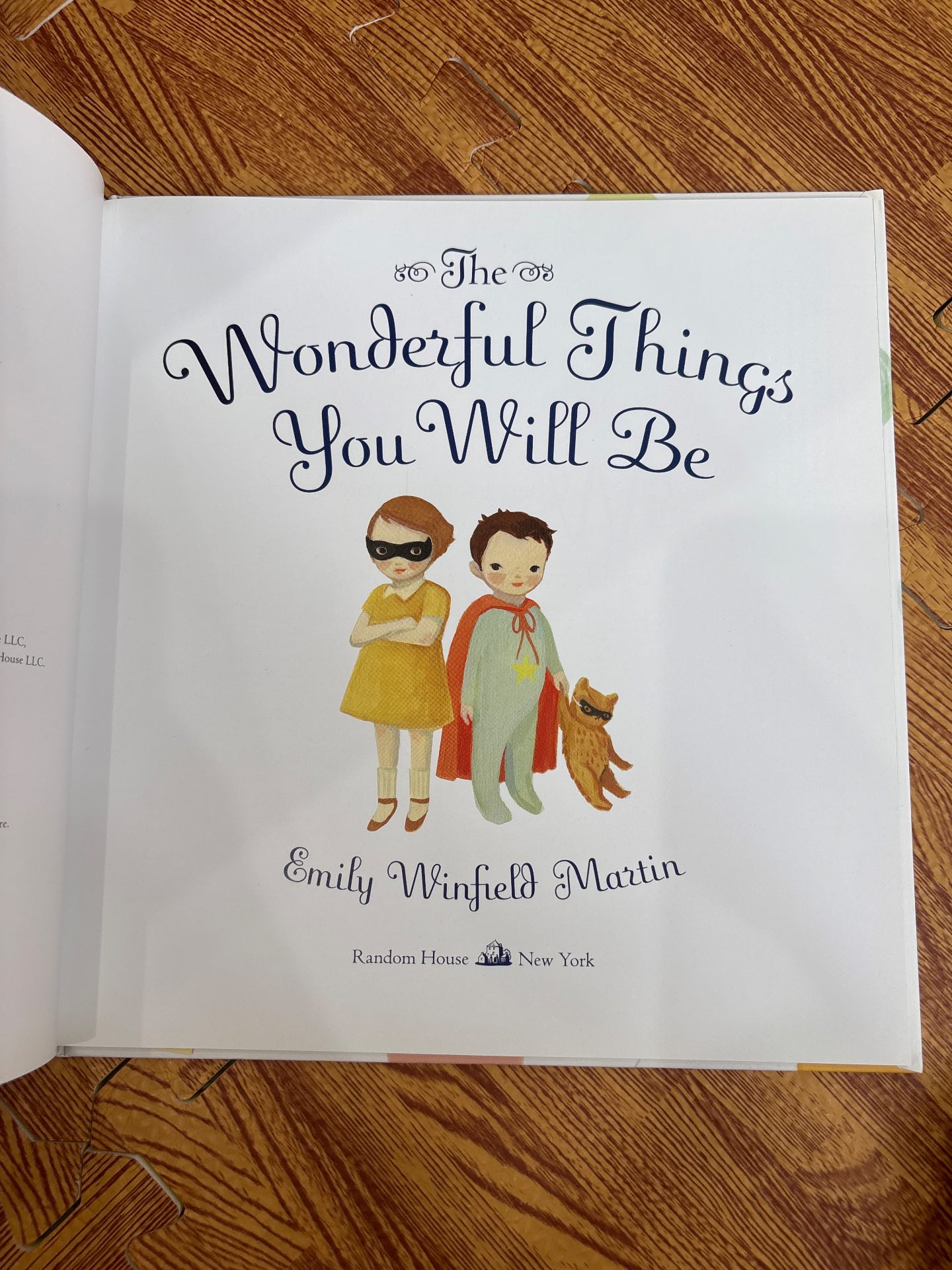 The Wonderful Things You Will Be — ảnh 2