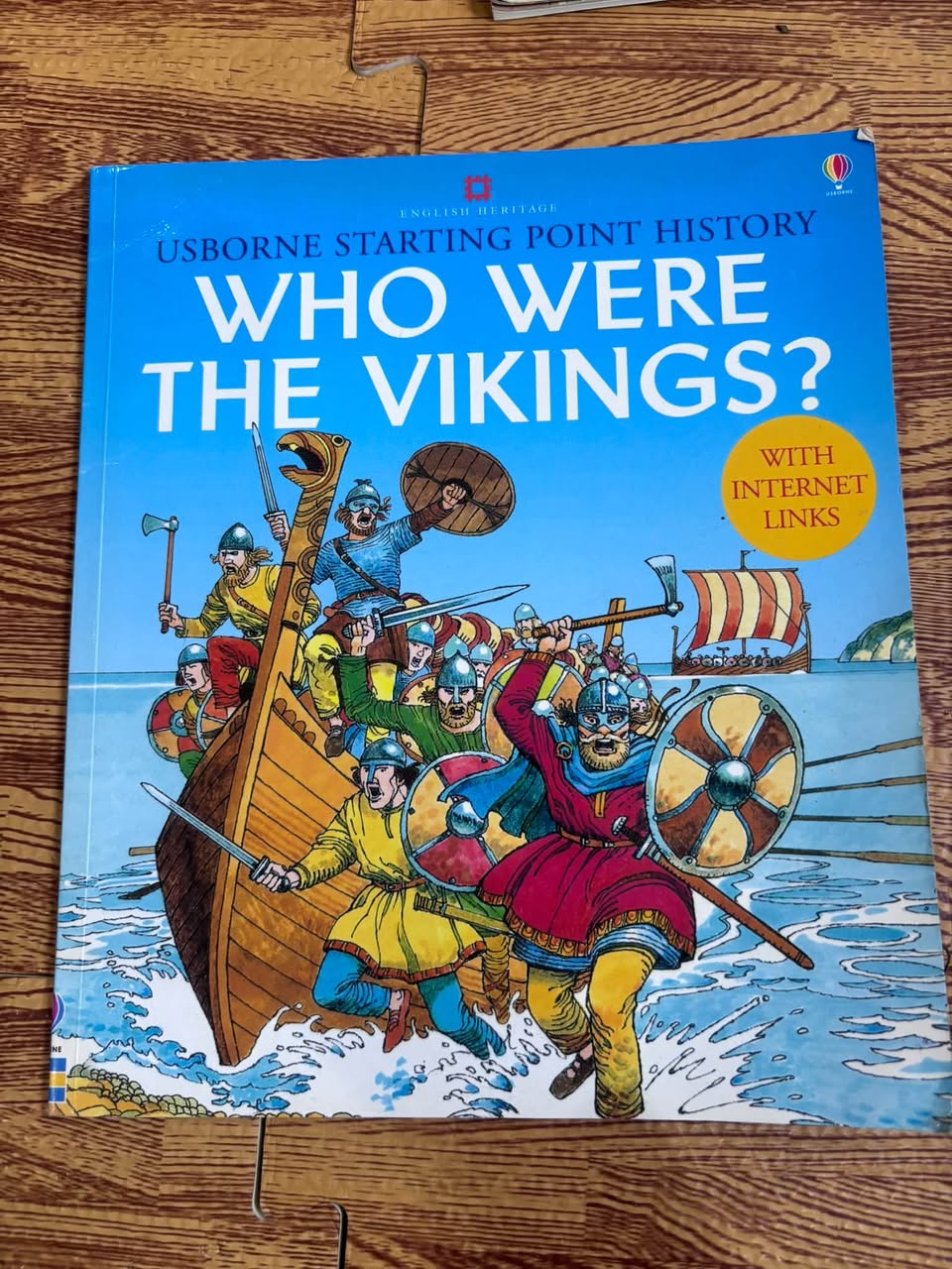Who Were the Vikings? – Usborne
