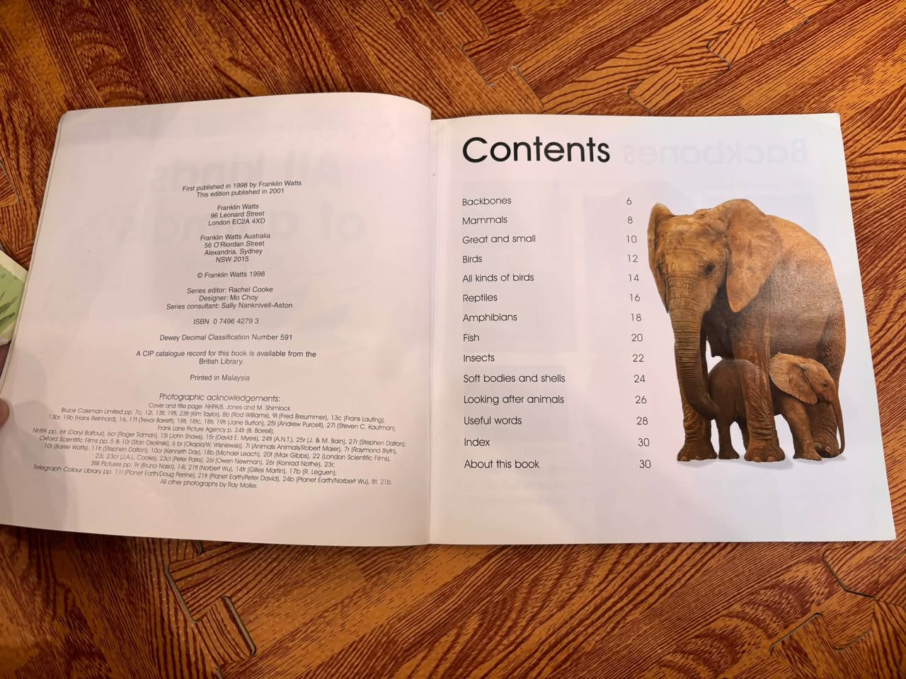 IT'S SCIENCE! ALL KINDS OF ANIMALS — ảnh 2