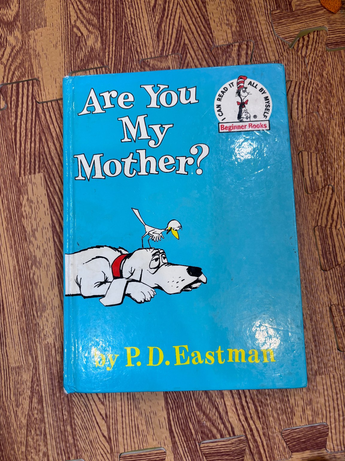 Are You My Mother? — ảnh 1