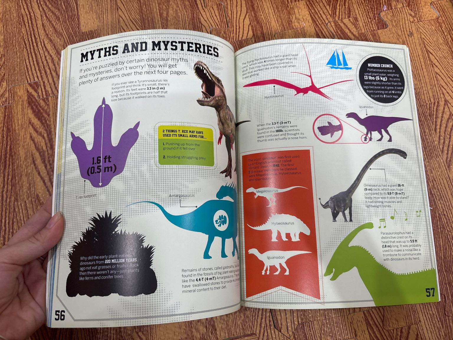 DINOSAUR NUMBER CRUNCH — ảnh 7