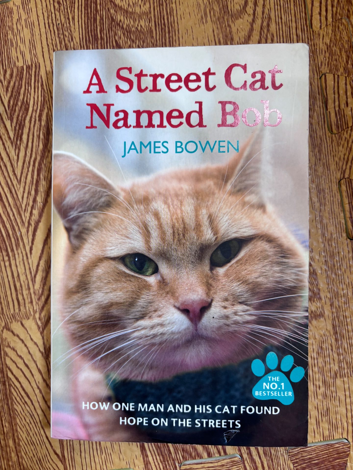 A Street Cat Named Bob — ảnh 1