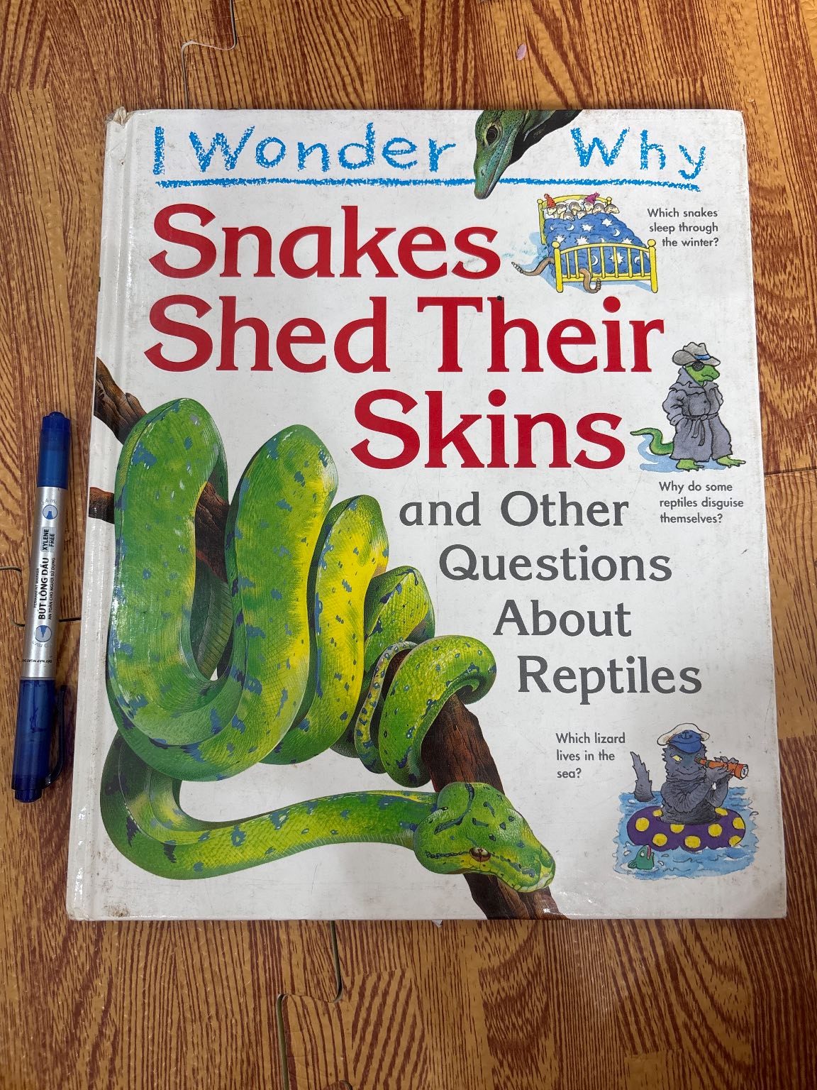 I Wonder Why Snakes Shed Their Skins and Other Questions About Reptiles
