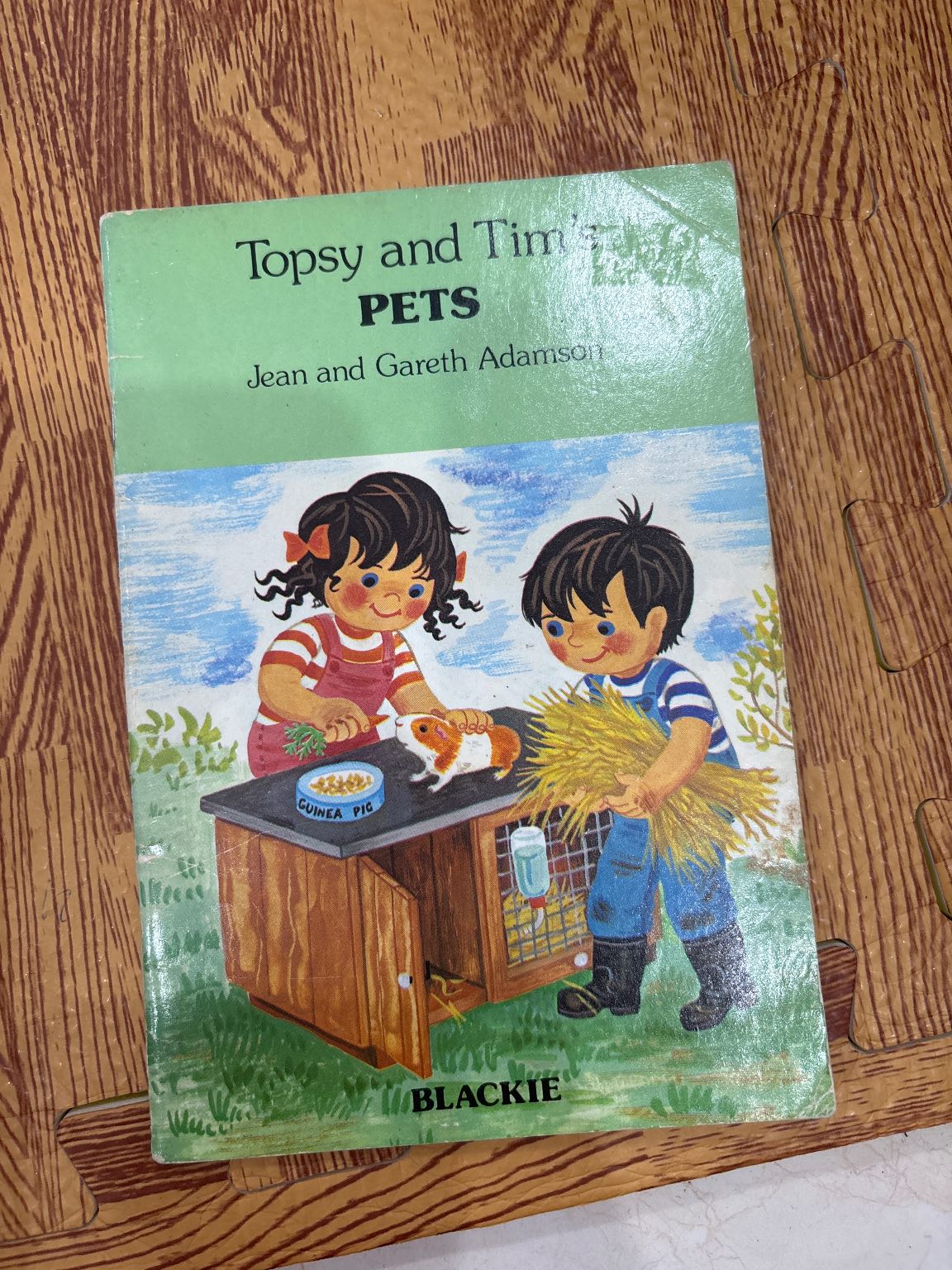 Topsy and Tim PETS