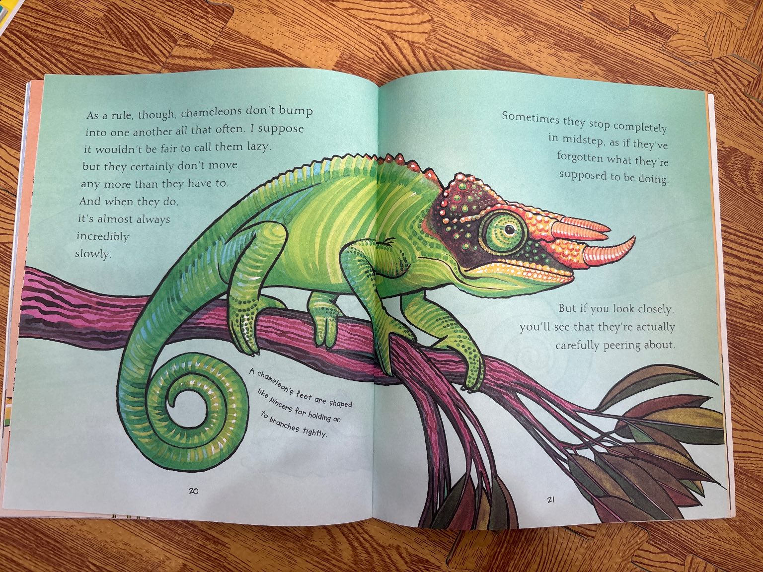 Chameleons Are Cool — ảnh 5