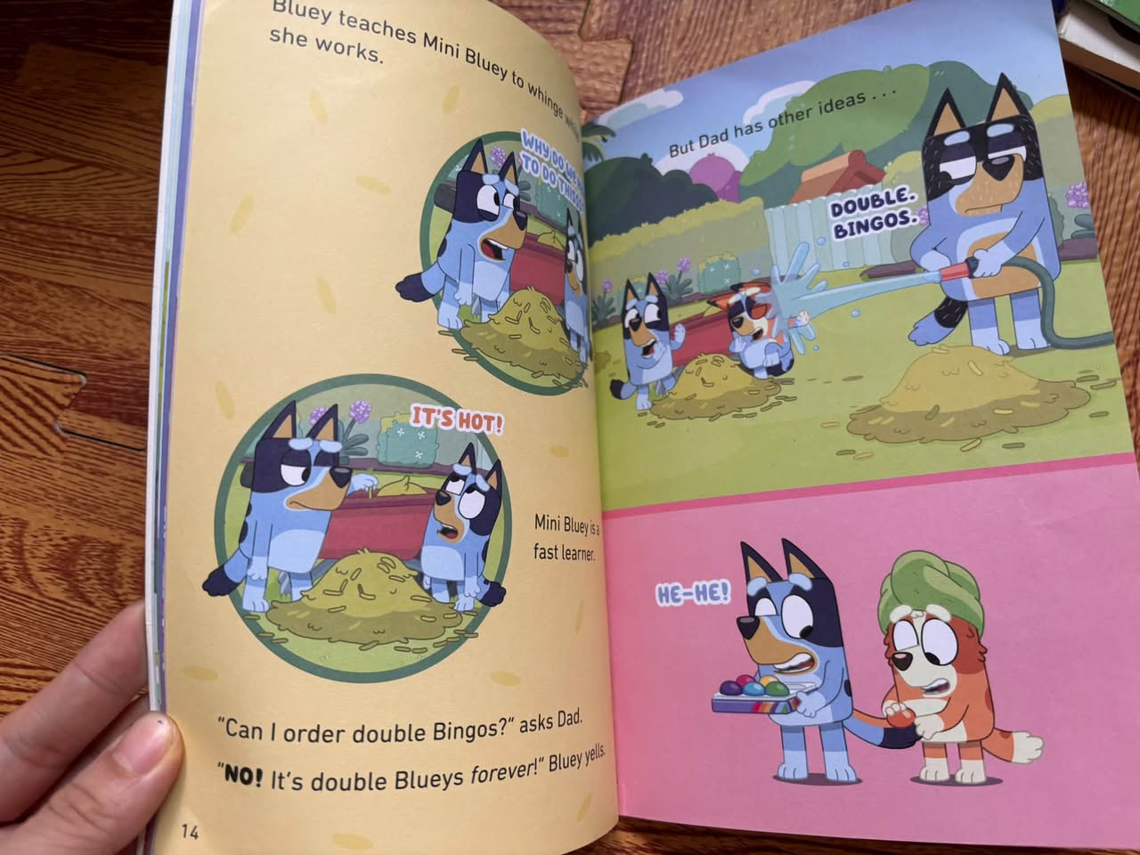SET 3 QUYỂN BLUEY (LADYBIRD BOOKS) — ảnh 4
