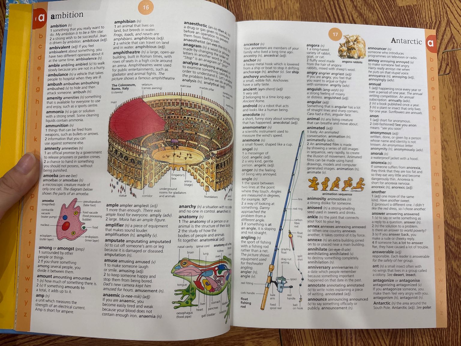 Usborne Illustrated English Dictionary — ảnh 2