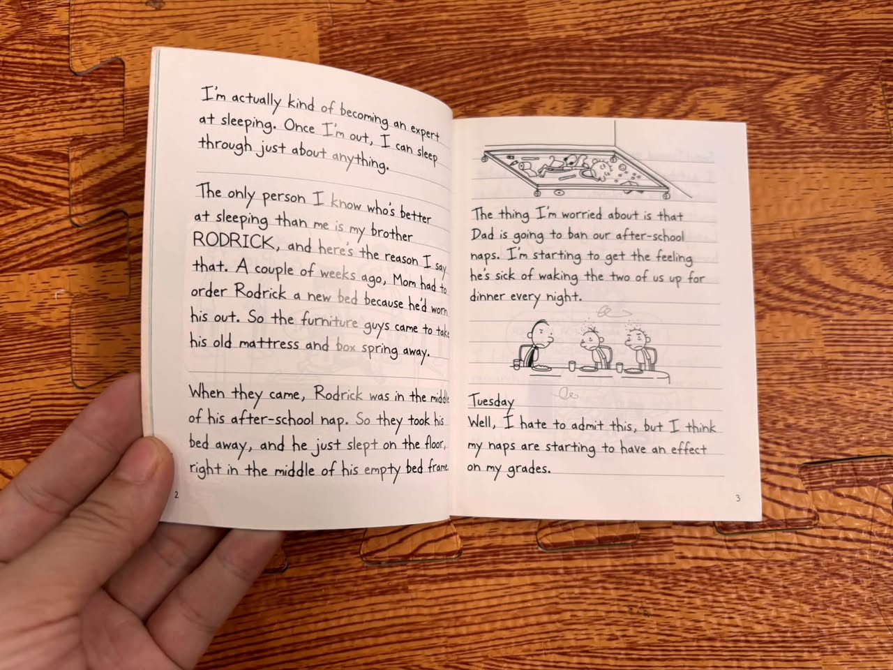 DIARY OF A WIMPY KID: HOW TO SURVIVE SCHOOL DISASTERS (JEFF KINNEY) — ảnh 3