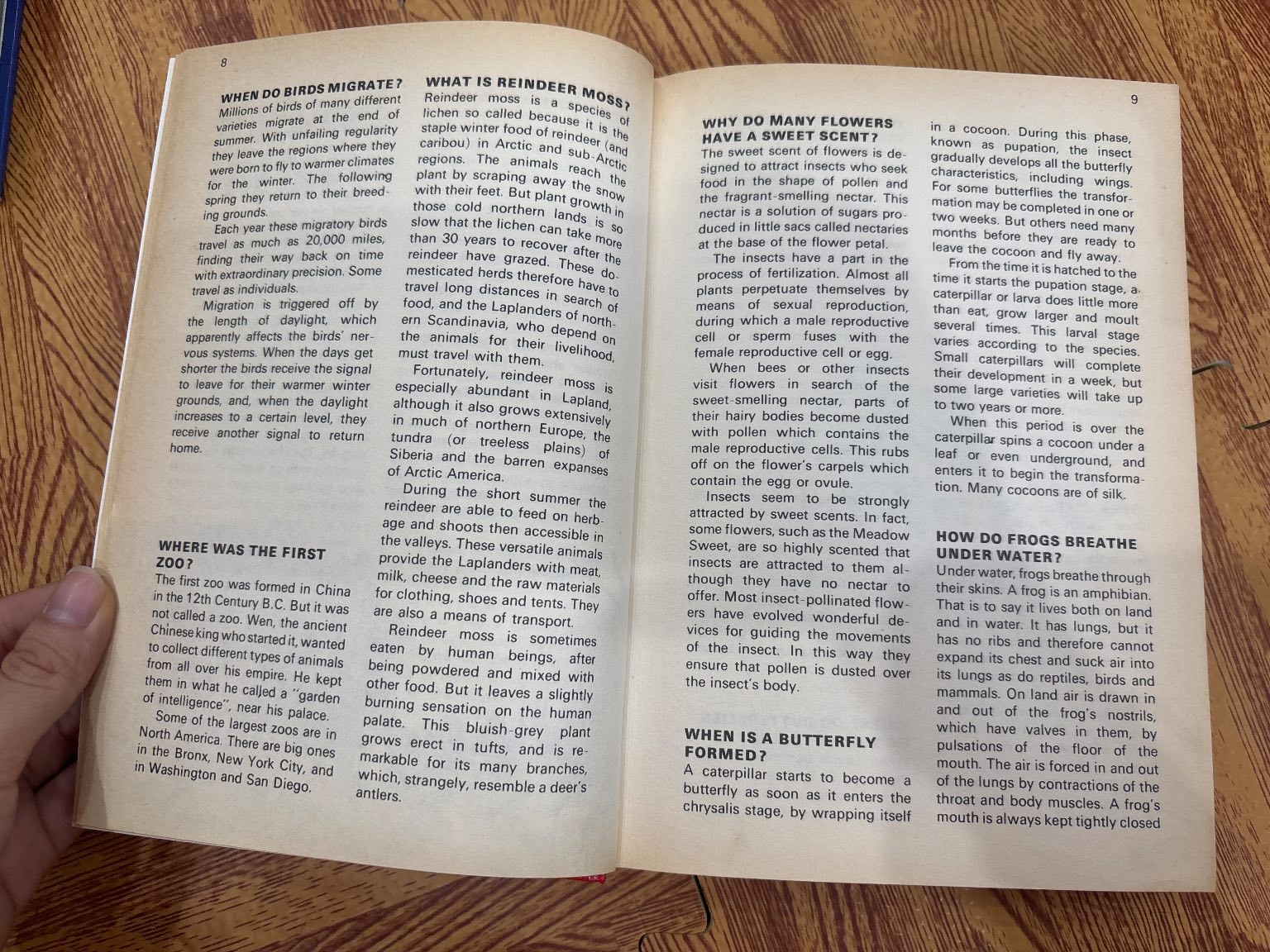 1000 QUESTIONS AND ANSWER ĐỎ — ảnh 5