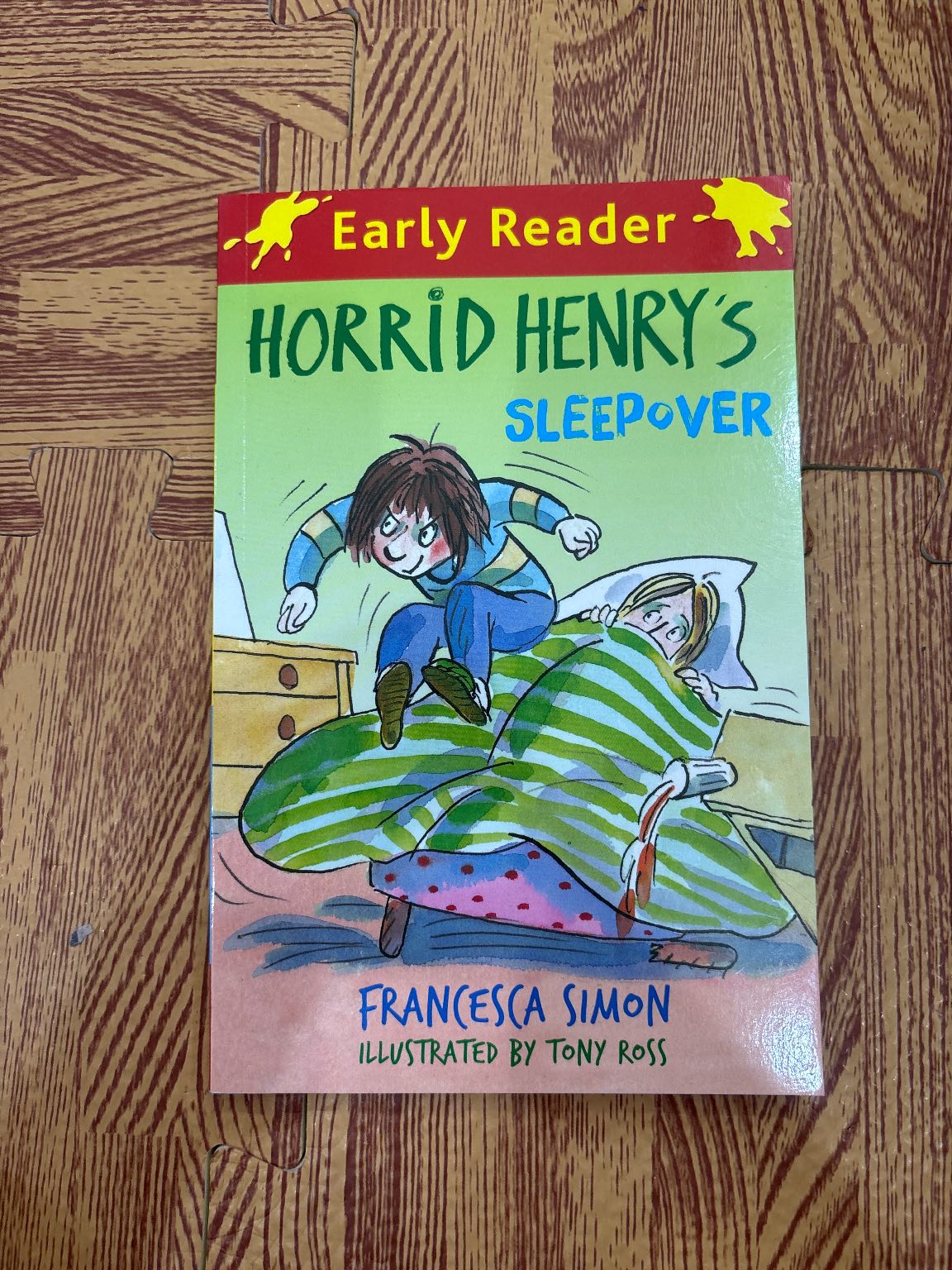 Horrid Henry's Sleepover