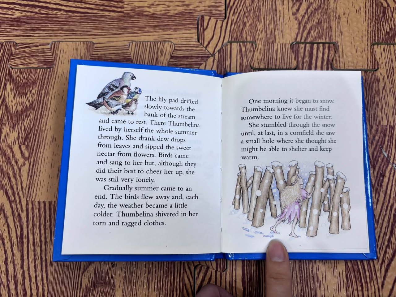 Thumbelina – Illustrated by Fran Thatcher — ảnh 5
