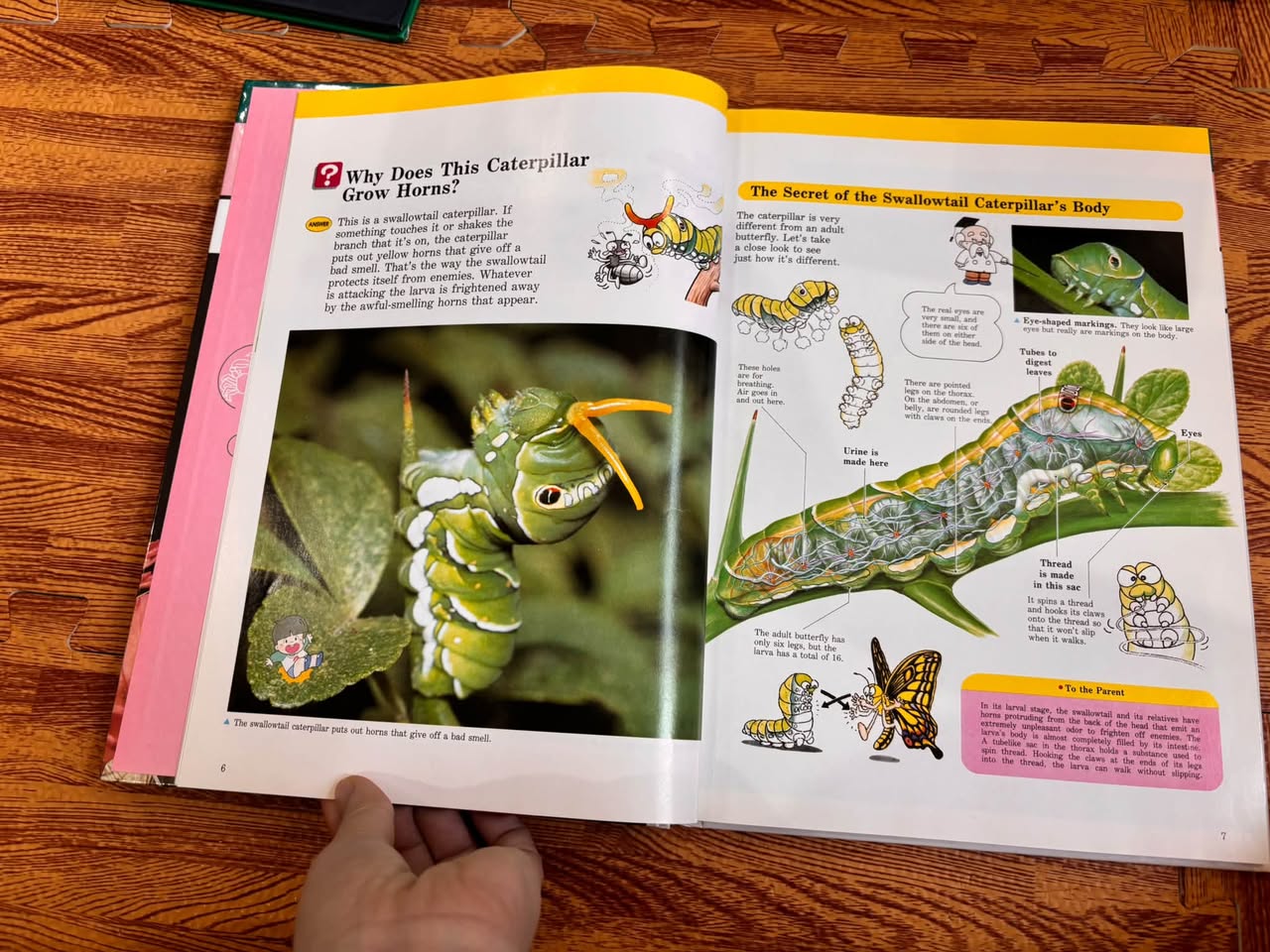 ANIMALS IN ACTION (A CHILD'S FIRST LIBRARY OF LEARNING - TIME LIFE) — ảnh 3