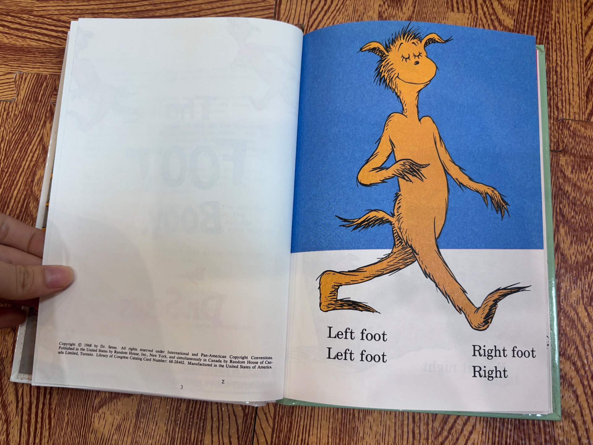The FOOT Book — ảnh 3