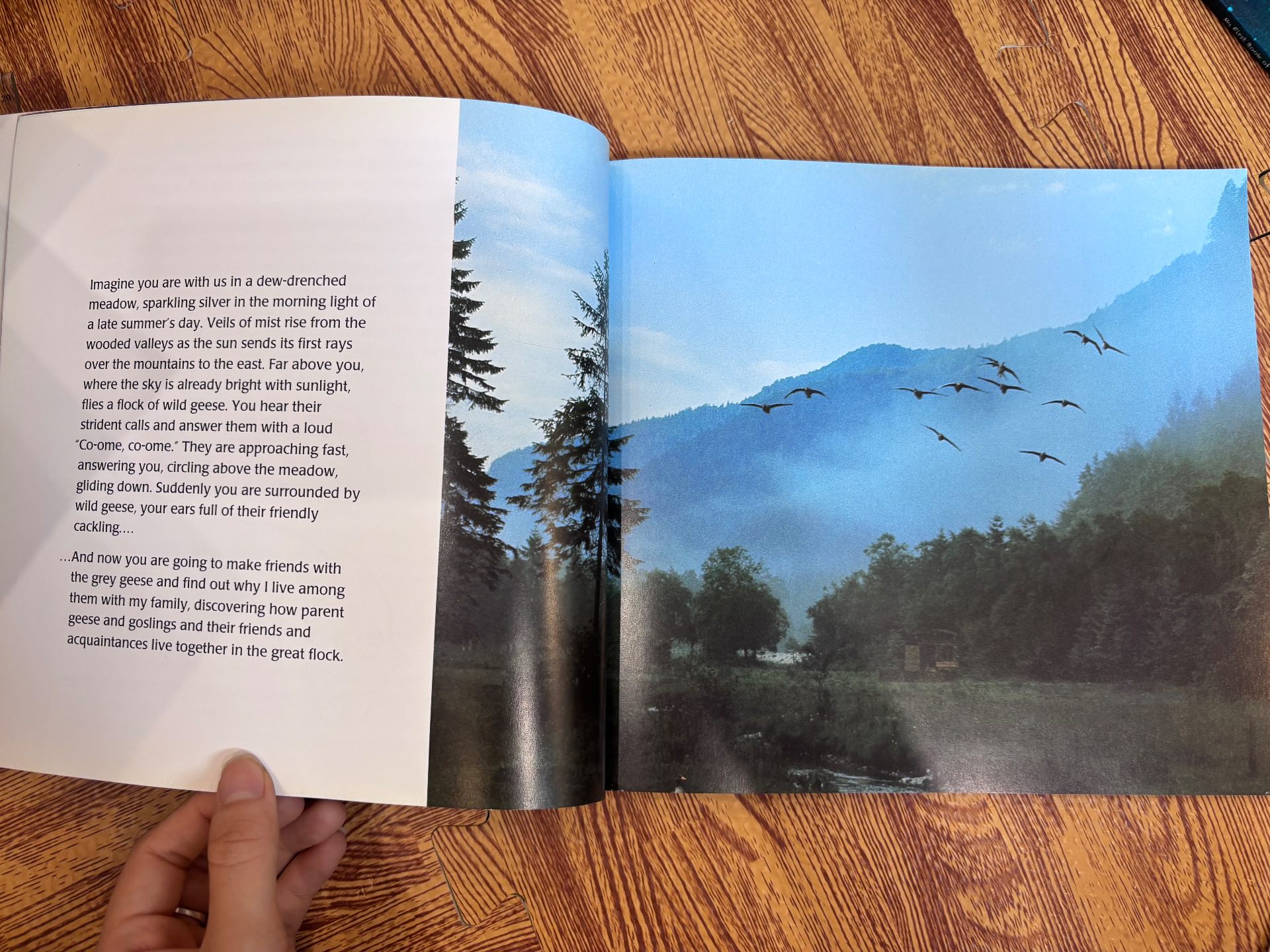 The Goose Family Book — ảnh 3