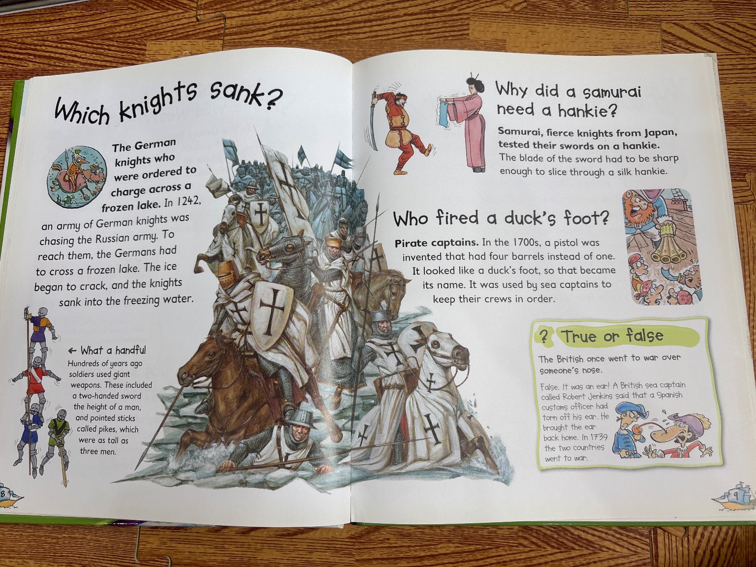 Who lived in castles? — ảnh 3