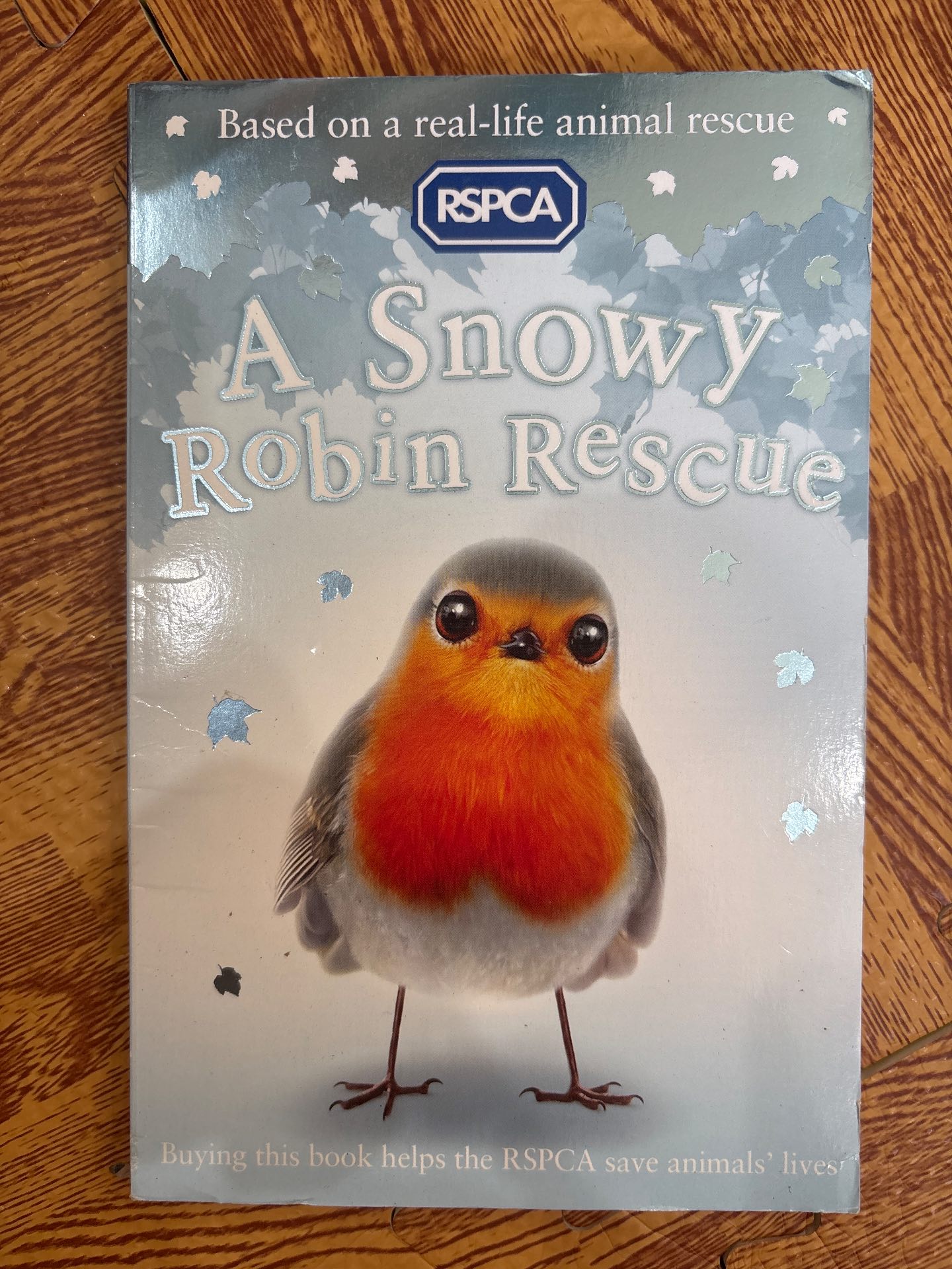 A Snowy Robin Rescue