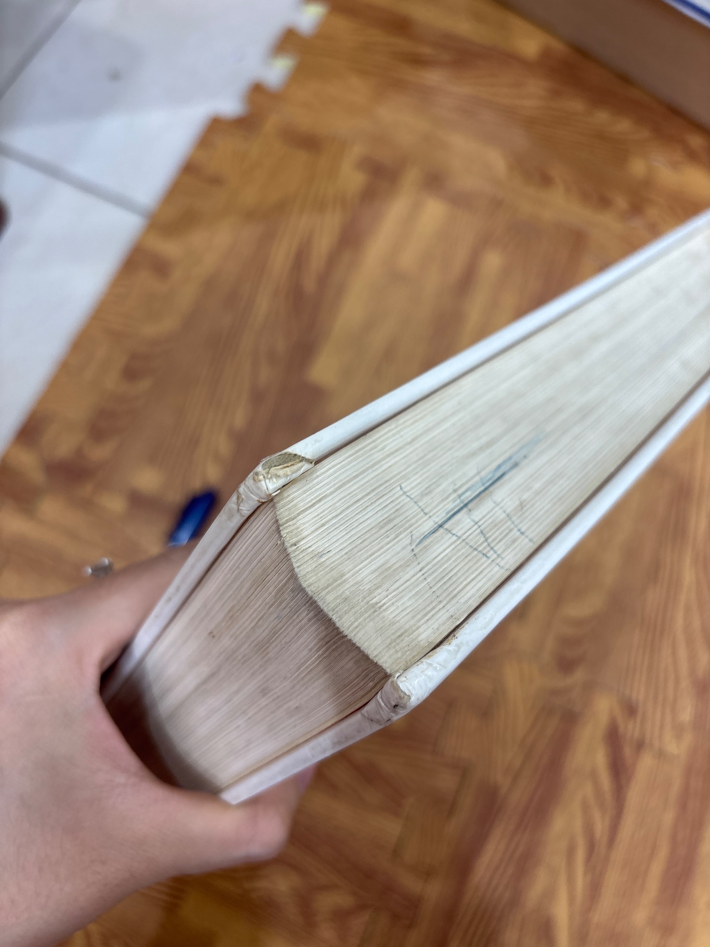 Children's Illustrated Encyclopedia — ảnh 8