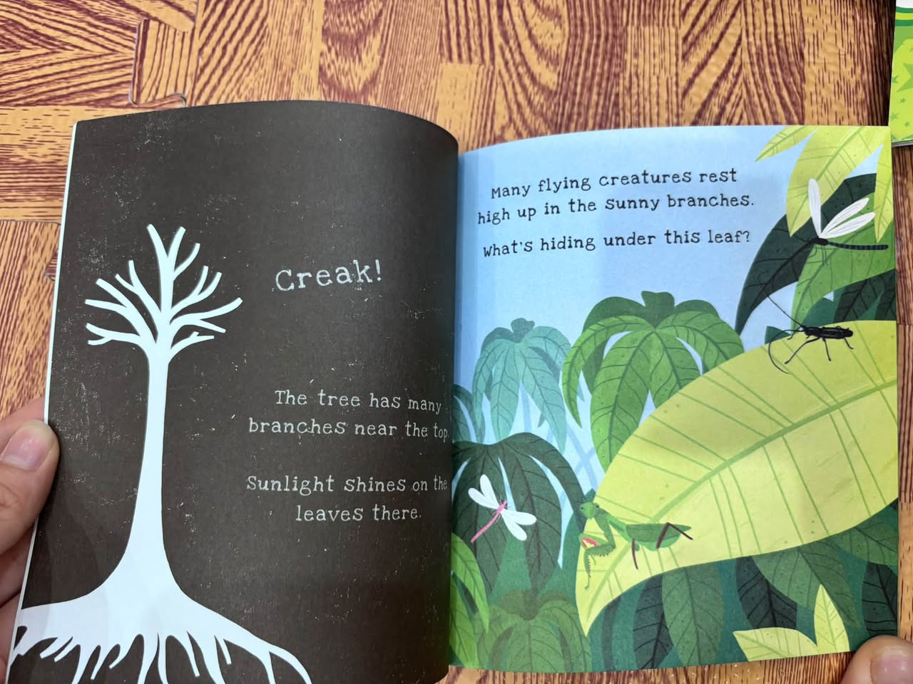 SECRETS OF THE RAINFOREST (A SHINE-A-LIGHT BOOK) — ảnh 2