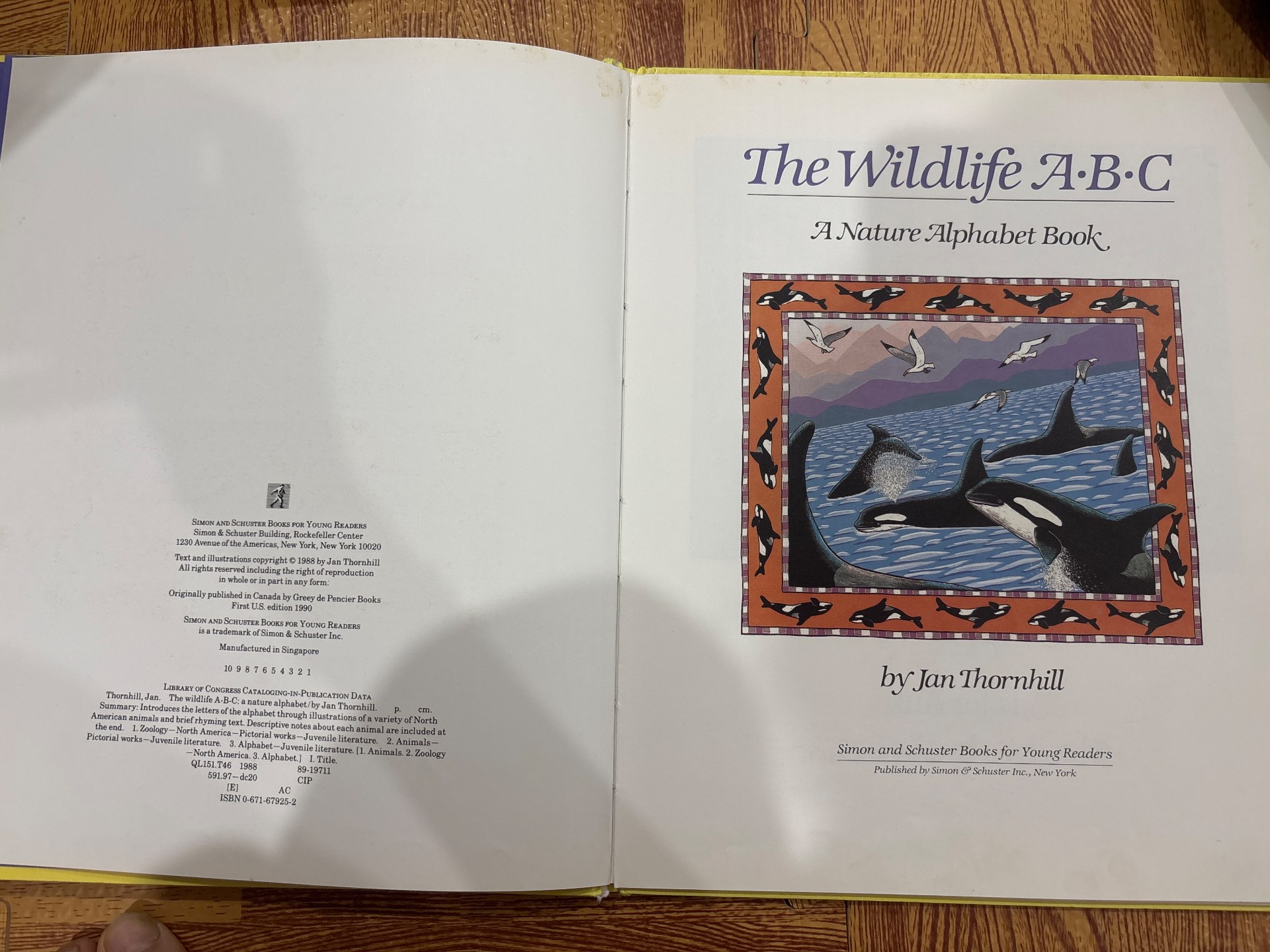 The Wildlife ABC — ảnh 2