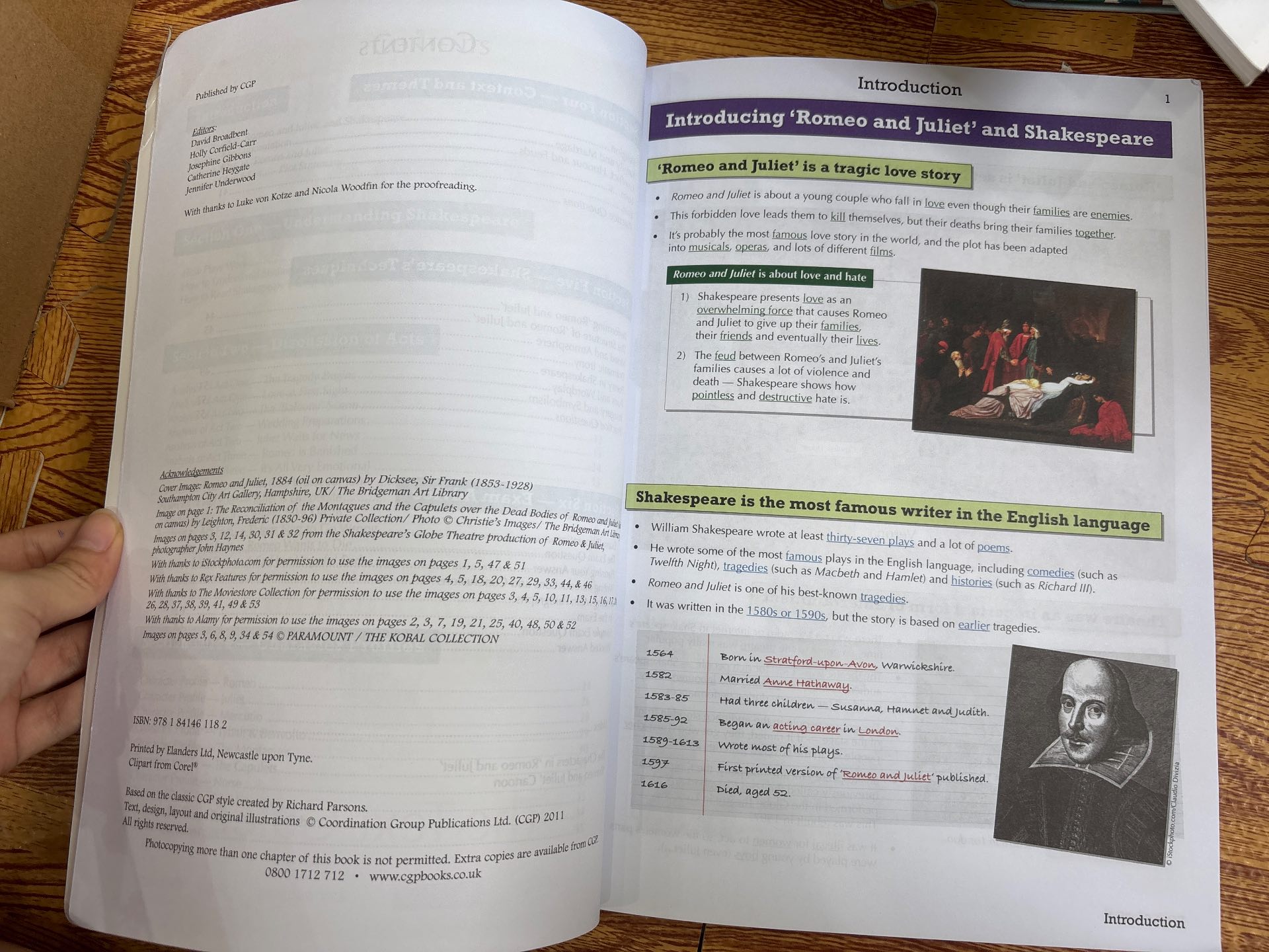 Romeo & Juliet: The Text Guide — ảnh 5
