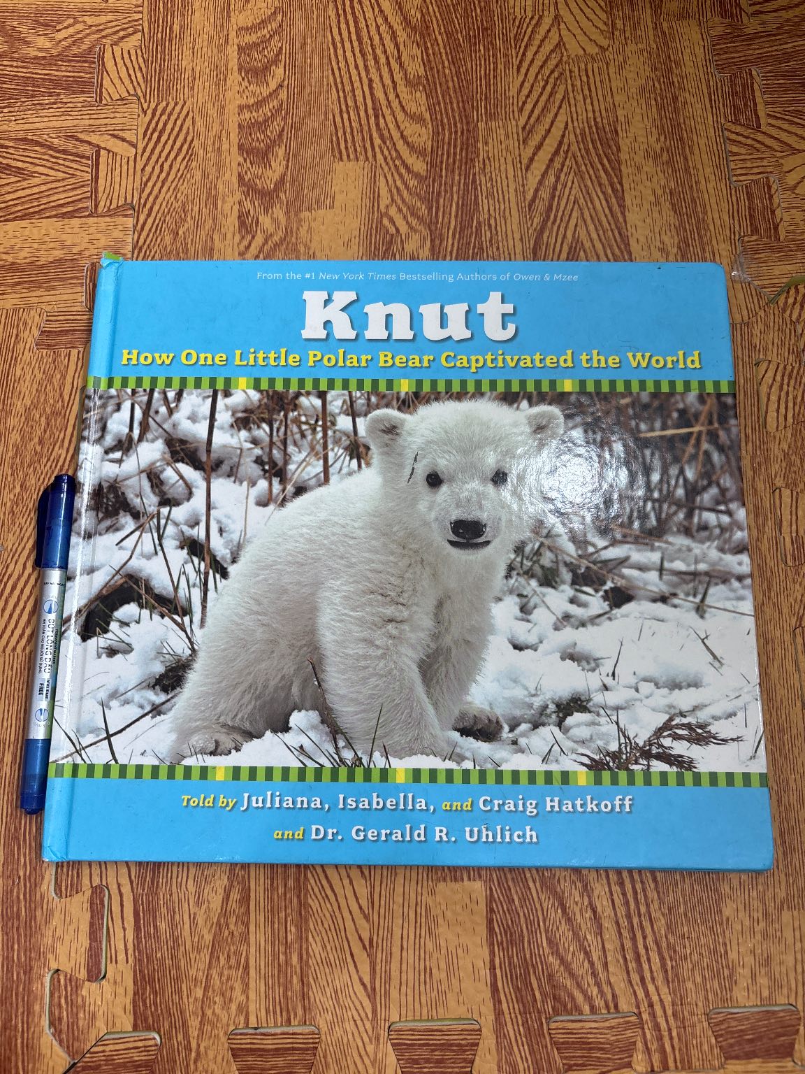 Knut — ảnh 1