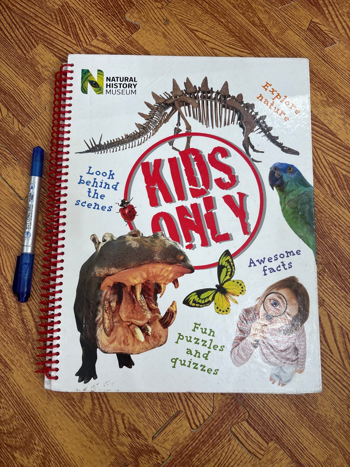 Kids Only - Natural History Museum
