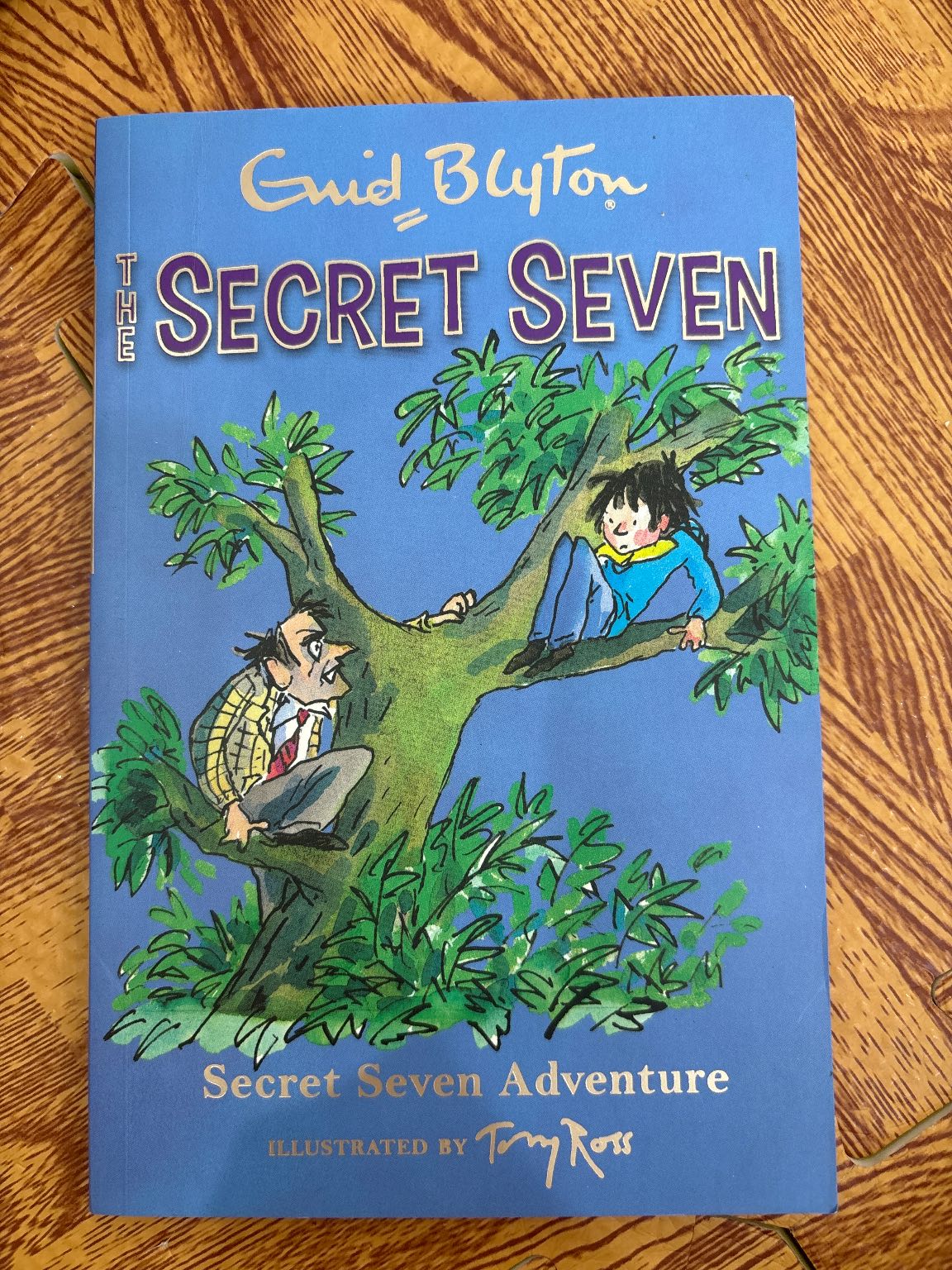 The Secret Seven Adventure
