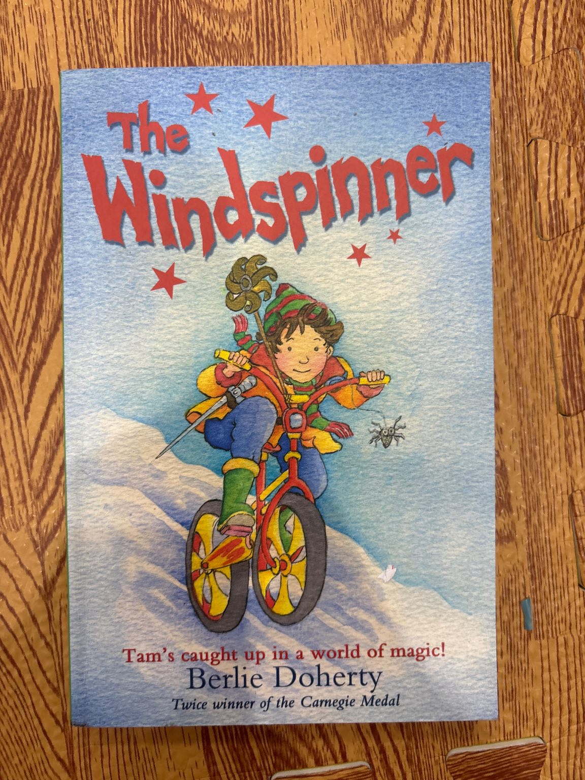 The Windspinner — ảnh 1