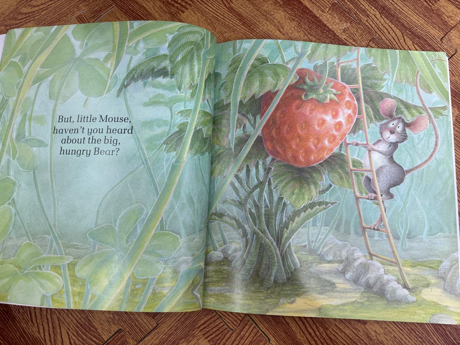 The Little Mouse, The Red Ripe Strawberry, and The Big Hungry Bear — ảnh 2