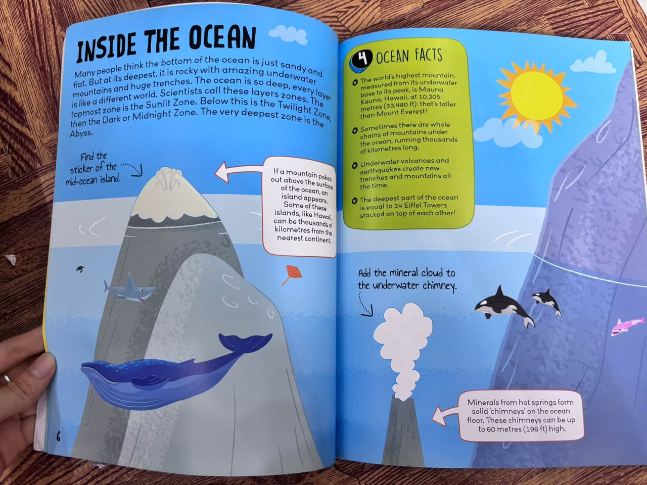KNOW AND GLOW: OCEAN STICKER ACTIVITIES (GLOW-IN-THE-DARK STICKERS) — ảnh 4
