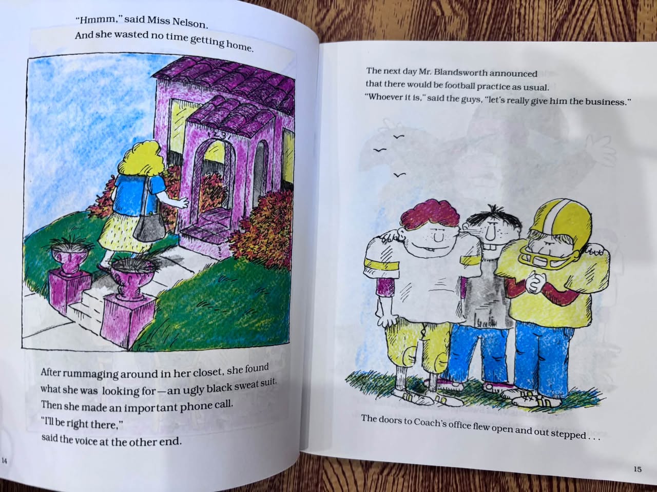MISS NELSON HAS A FIELD DAY — ảnh 2