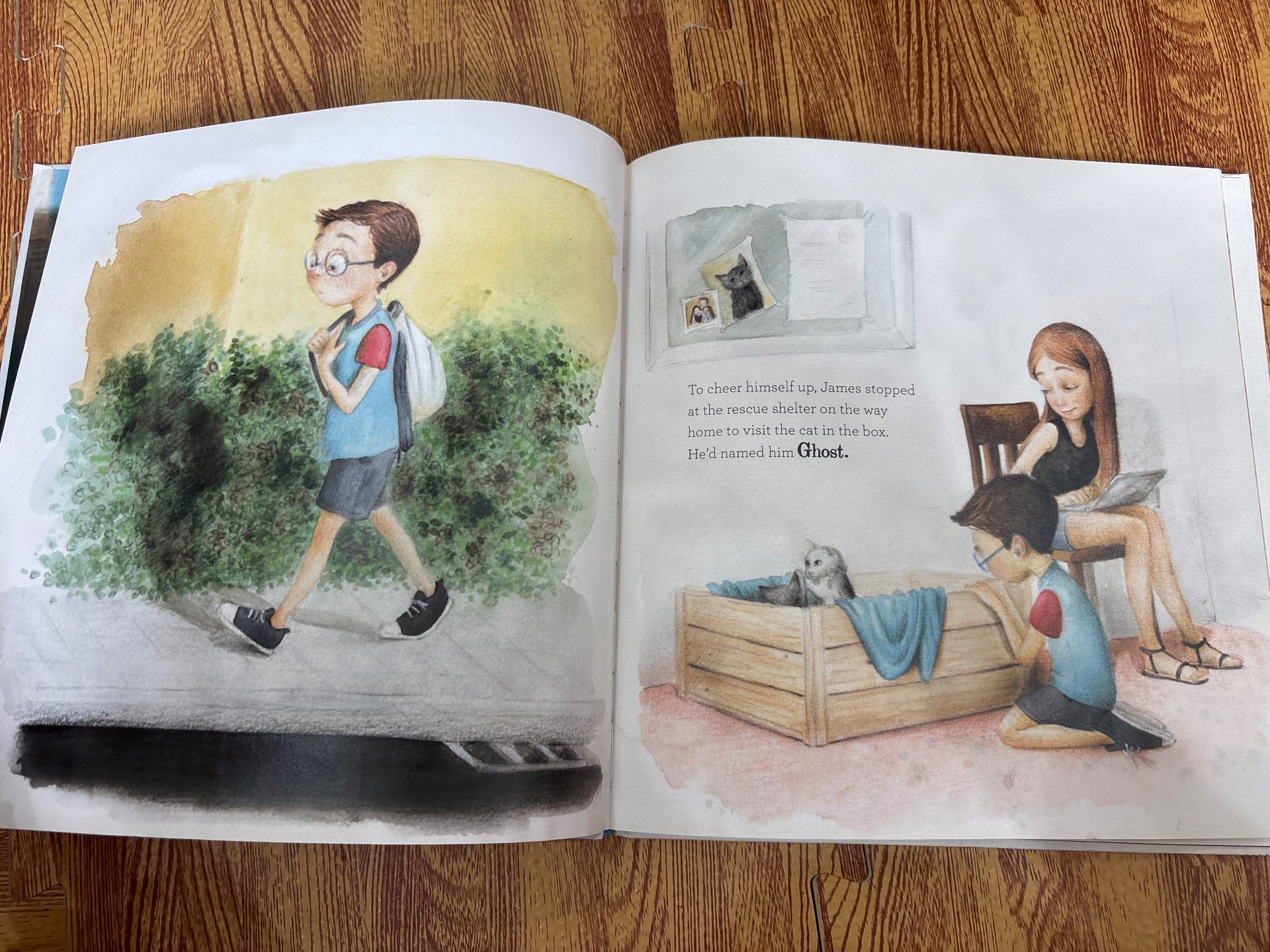James' Reading Rescue — ảnh 4