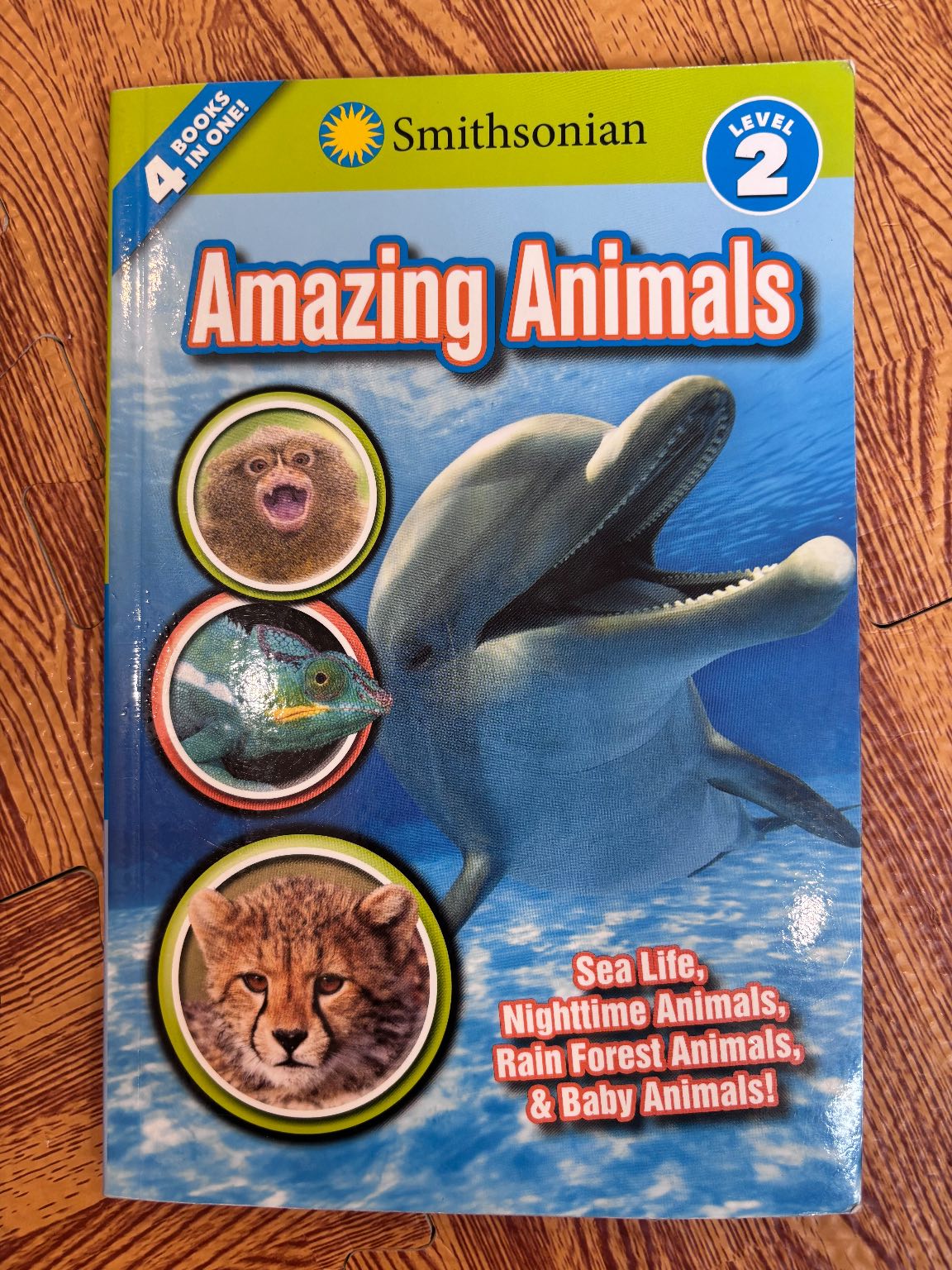 Amazing Animals