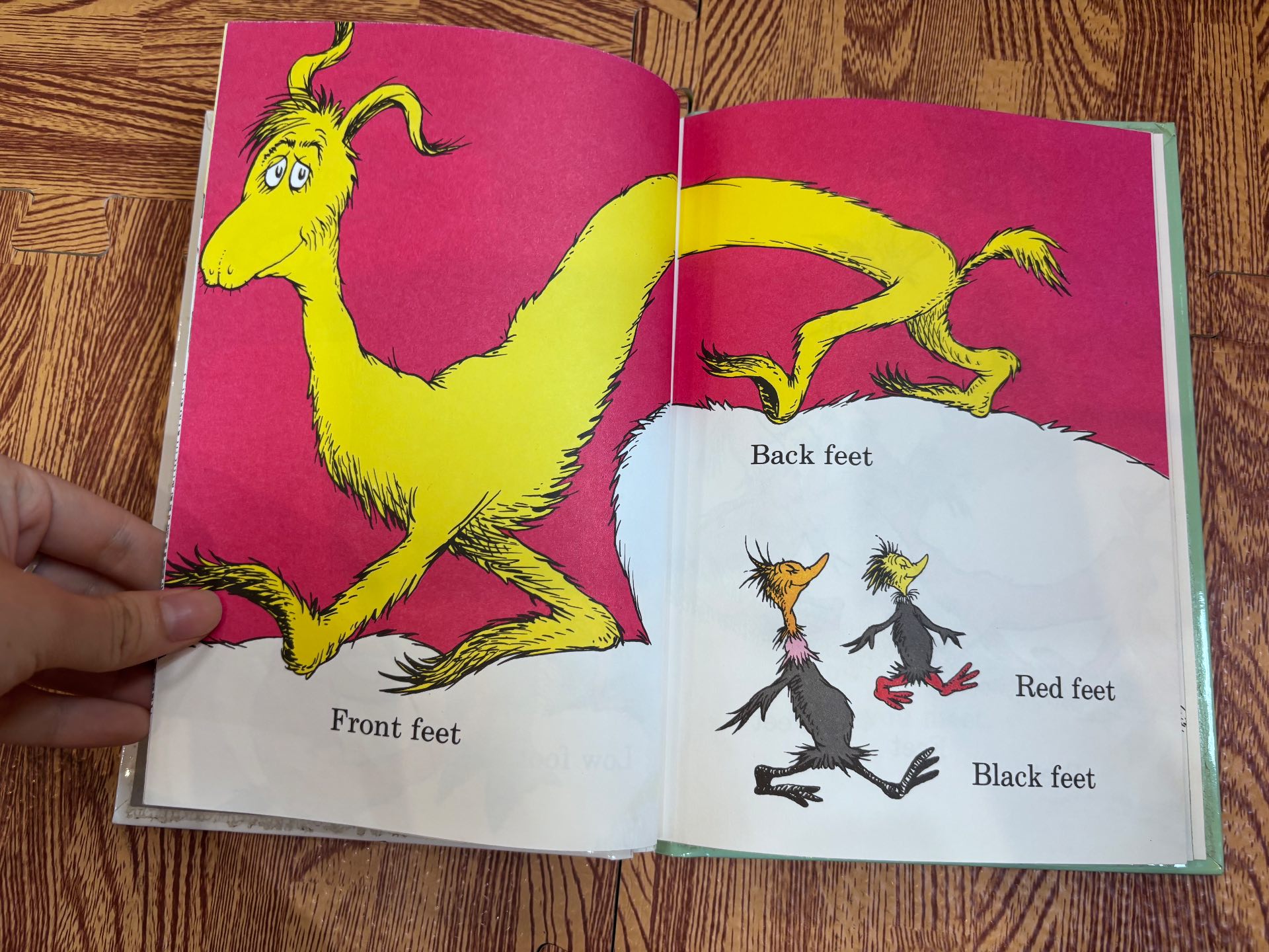 The FOOT Book — ảnh 4