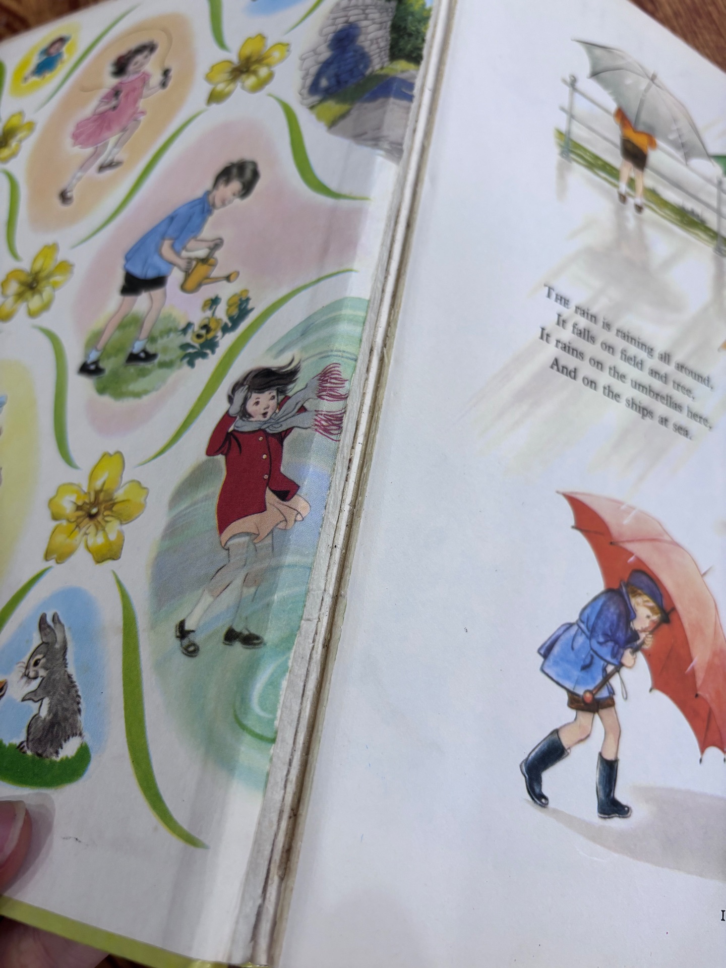 A CHILD'S GARDEN OF VERSES — ảnh 2