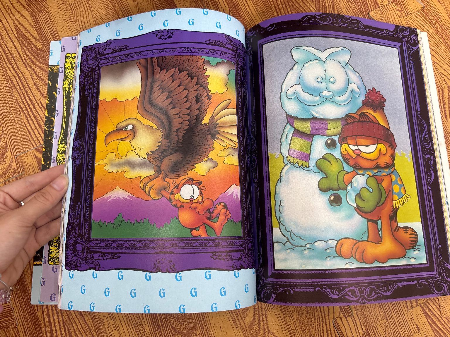 The Garfield Selection — ảnh 5